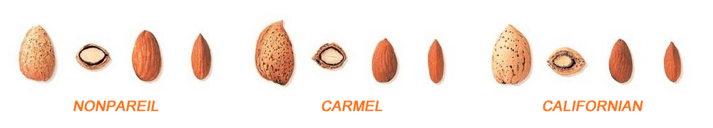 usa almond varieties